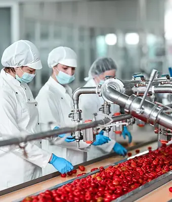 Home why food manufacturers choose hongsheng