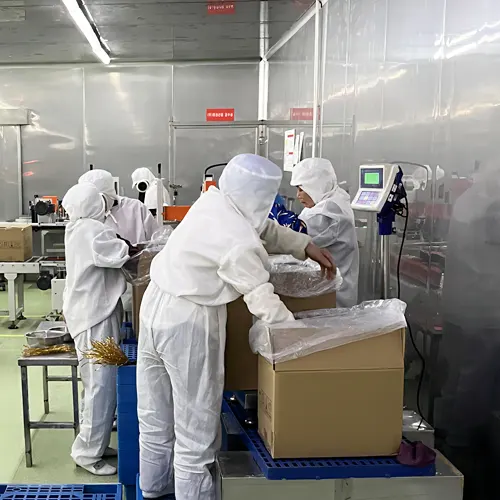 factory7