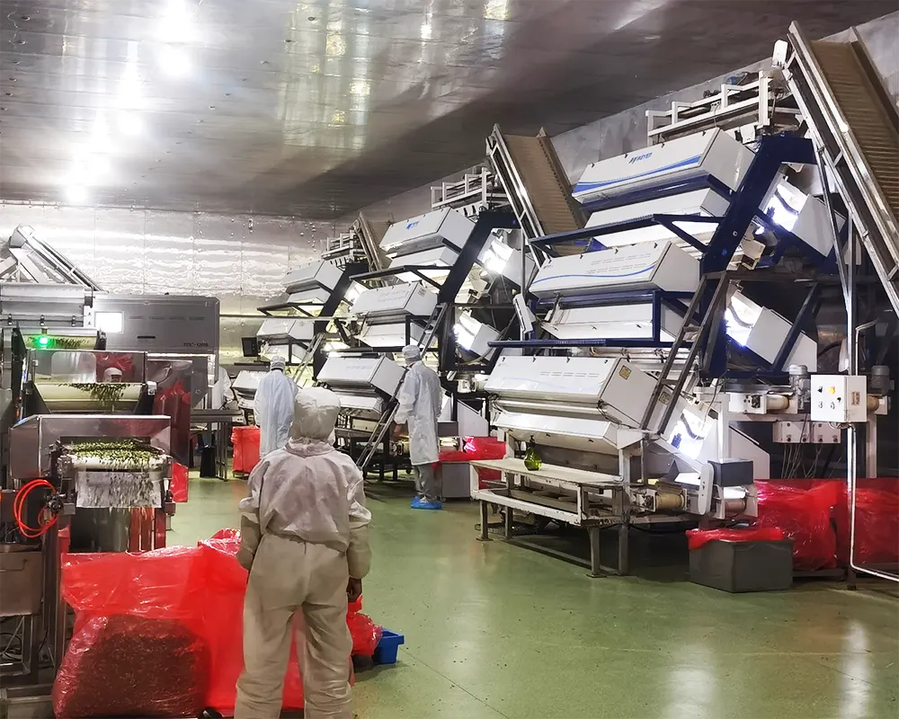 3. color sorting machine 3. color sorting machine