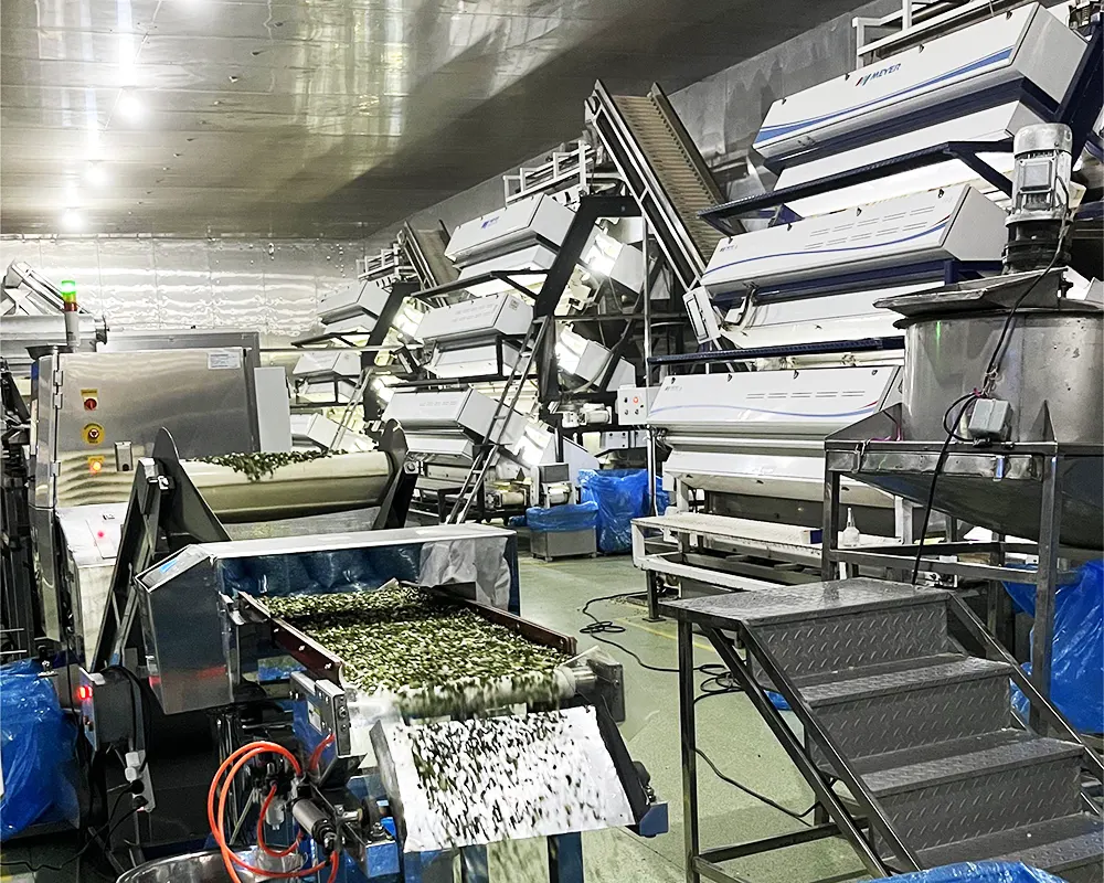 3. color sorting machine2 3. color sorting machine2