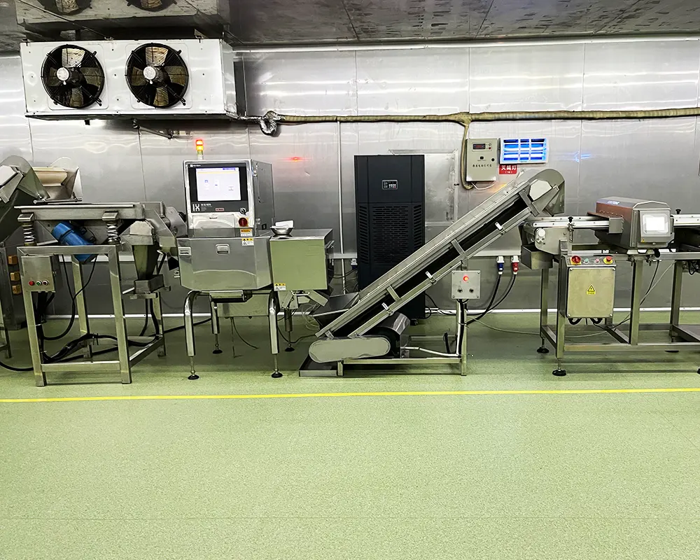 4.x ray machines, metal detectors 4.x ray machines, metal detectors