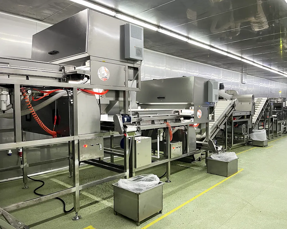 5. ai sorting machine 5. ai sorting machine