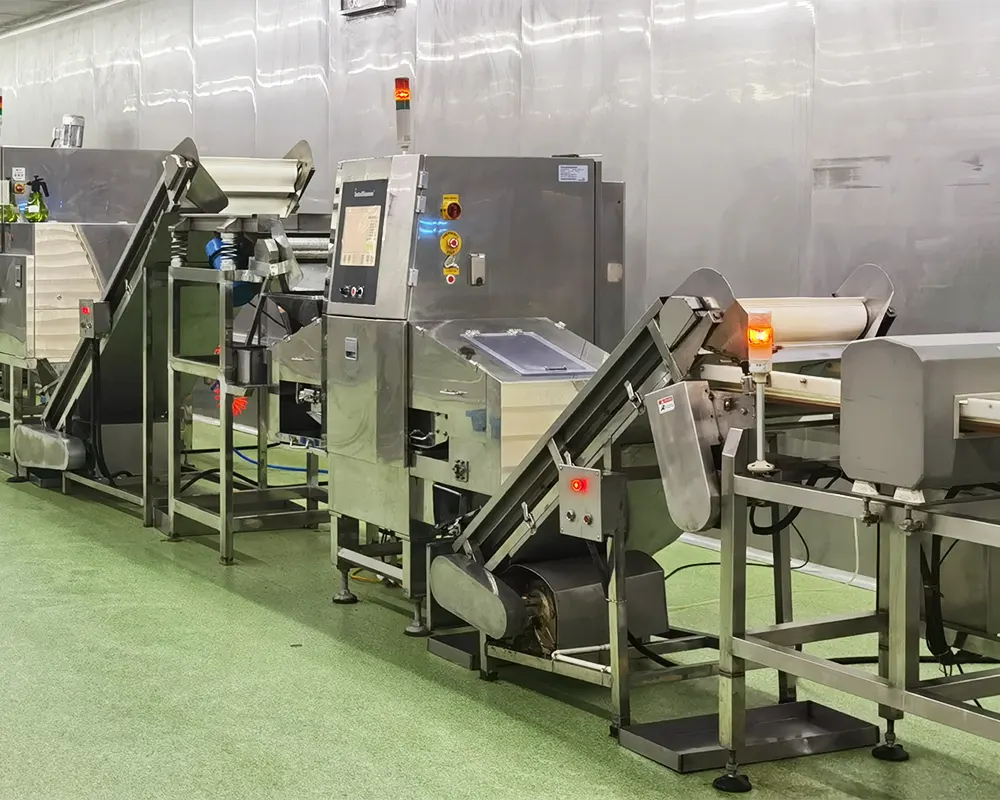 6. automatic selection line 6. automatic selection line