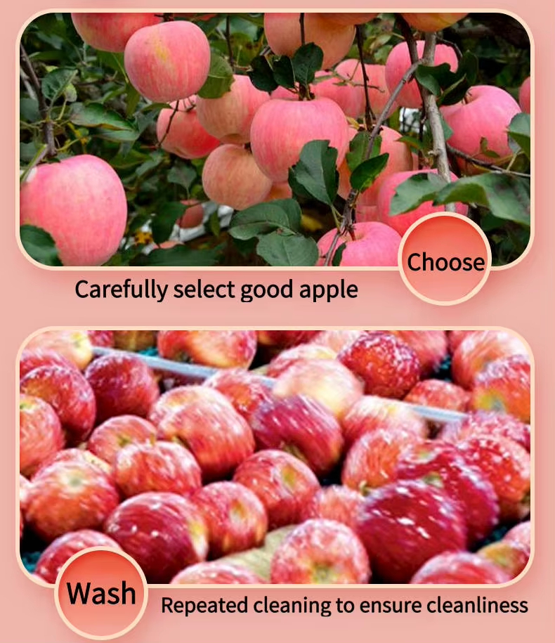 17884923801215.jpg Fuji Apple Slices quality detail view