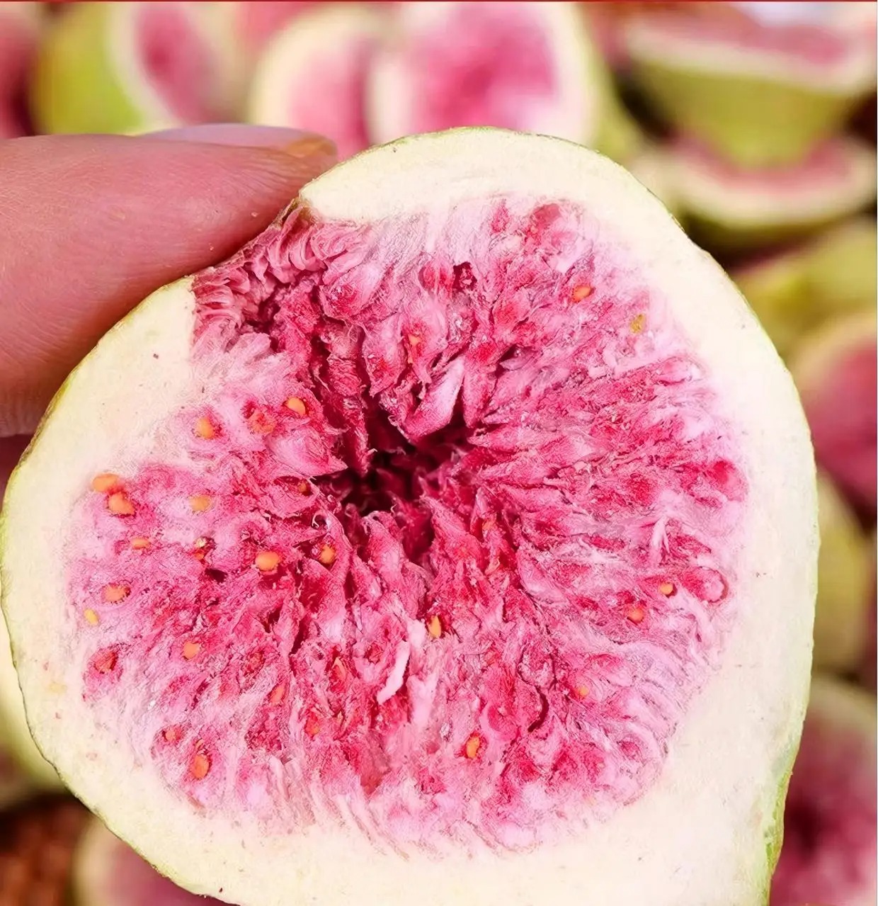 17884926510925.jpg Fig Slices quality detail view