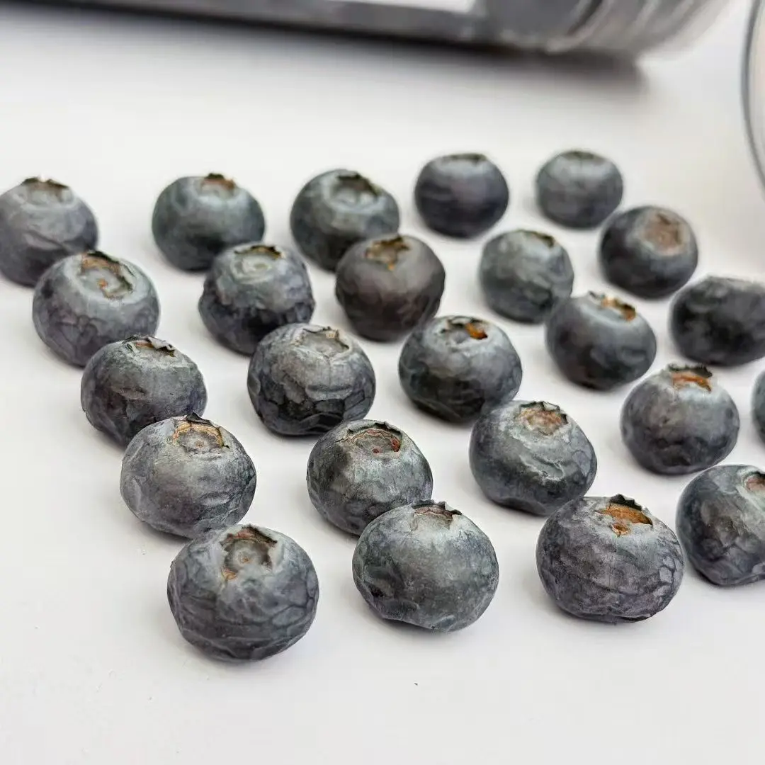 17885054805672.webp Blueberry close-up detail showing texture