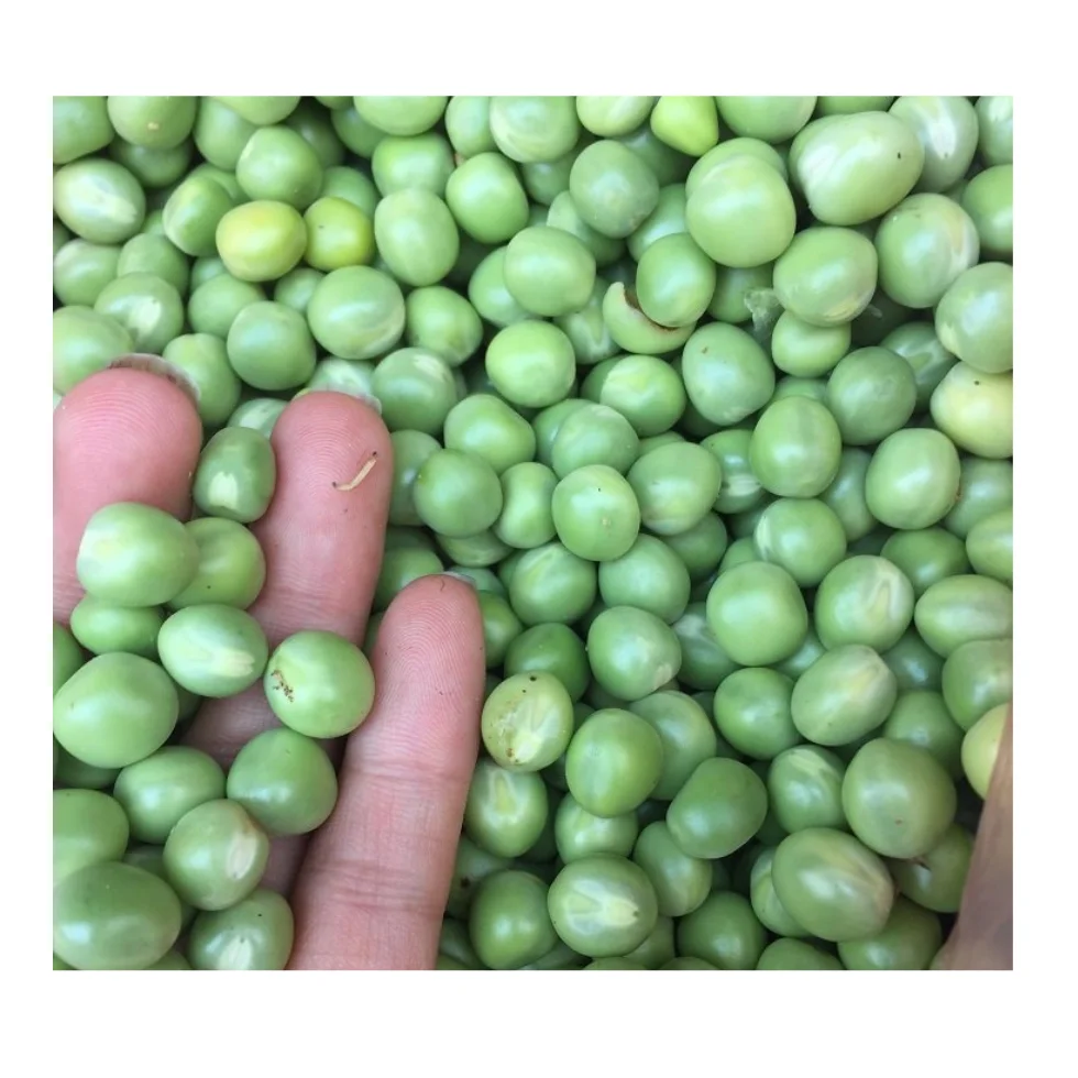 17885087775092.webp Green Peas- close-up detail showing texture