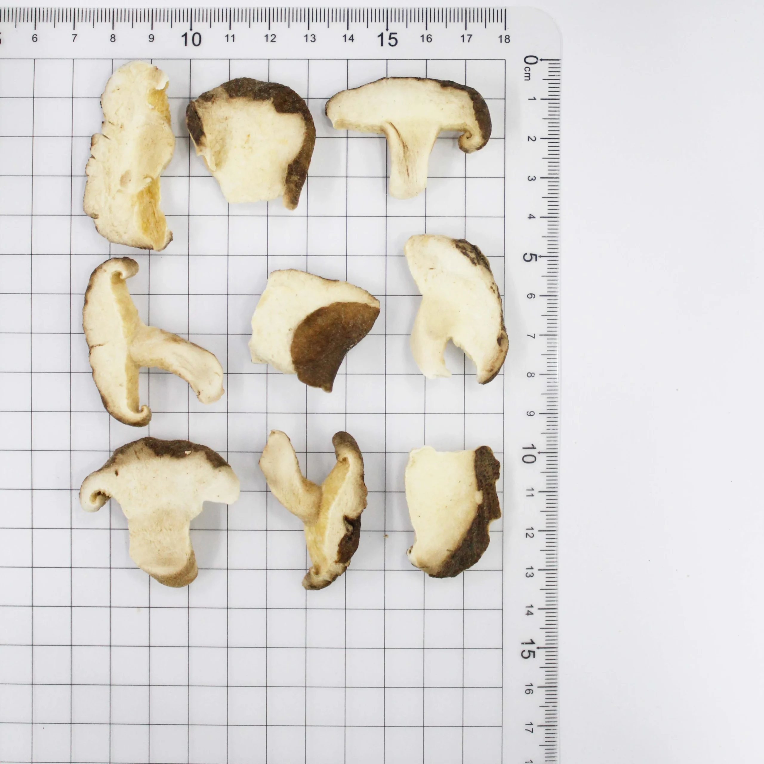 17885088675935.webp Shiitake Mushroom Slices quality detail view