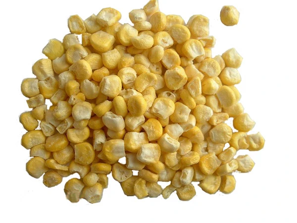 17885089814633.webp Corn Whole for food manufacturing and wholesale