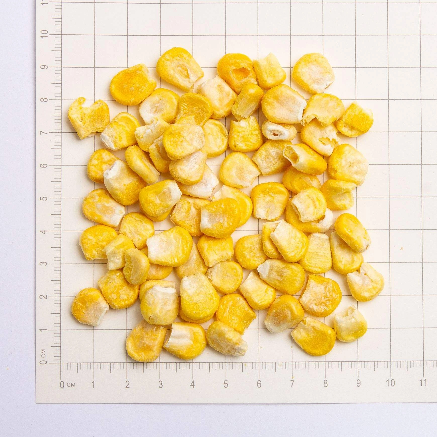 17885089834385.webp Corn Whole quality detail view