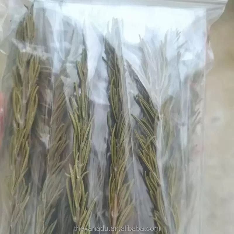17885095074336.jpg Dried Rosemary Whole ingredient application example