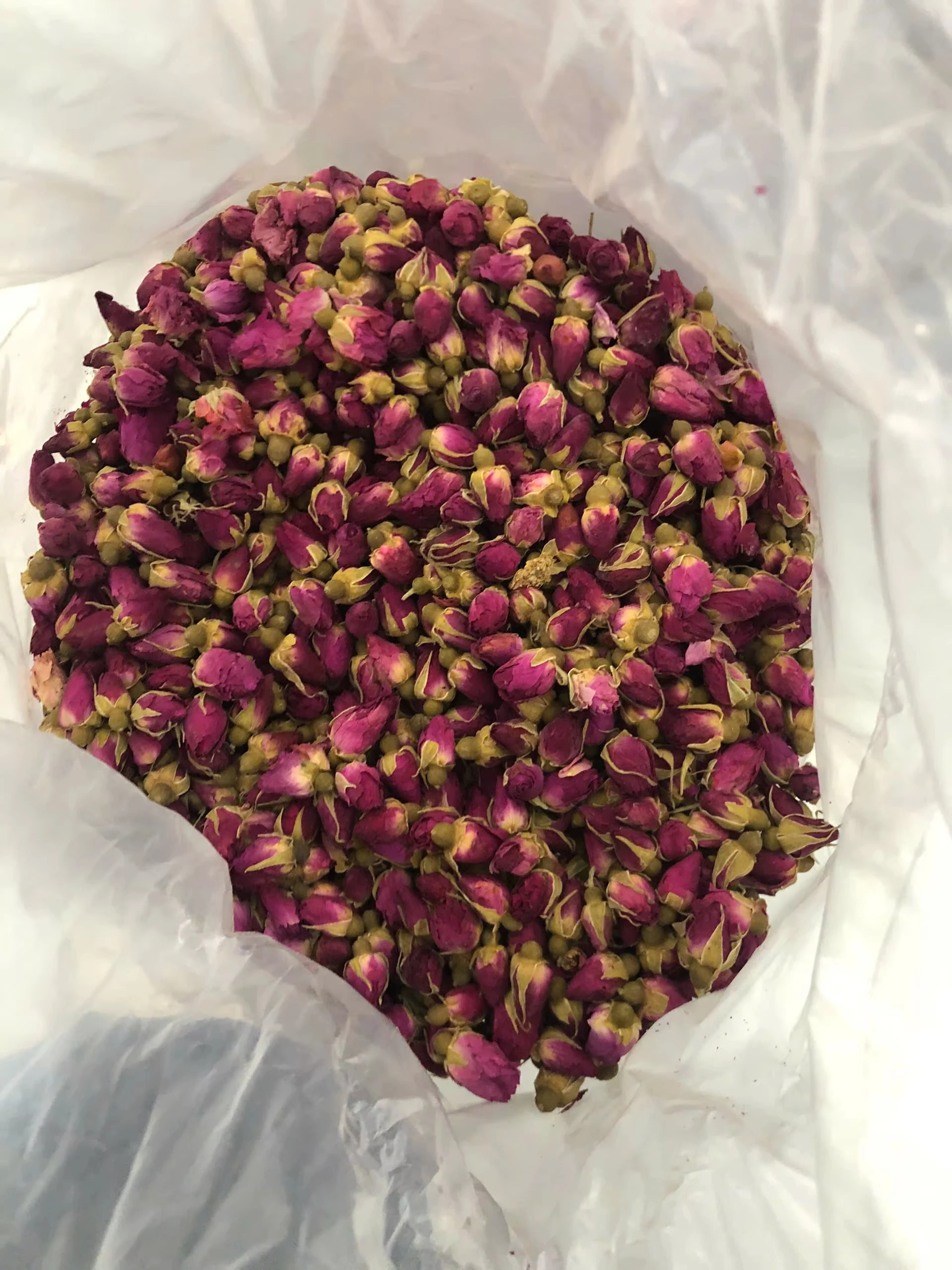 17885097477484.webp Dried Rose Bud bulk packaging and supply