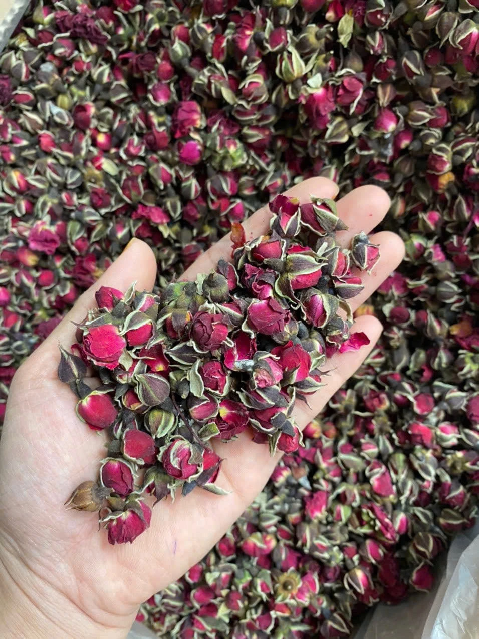 17885099281153.webp Rose Whole for food manufacturing and wholesale