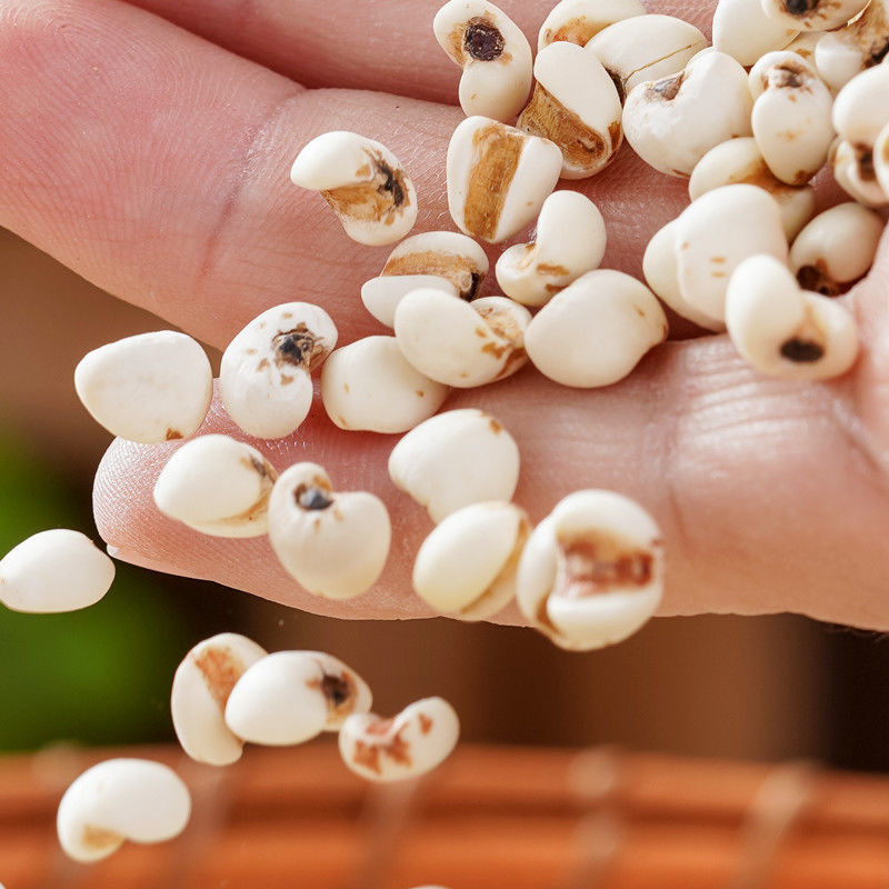 17889539401712.jpg Coix Seed close-up detail showing texture